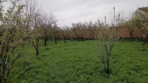 Garden for sale