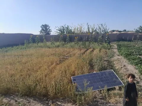 Walled garden for sale, 7 dang, Hazar Jerib, Guzara