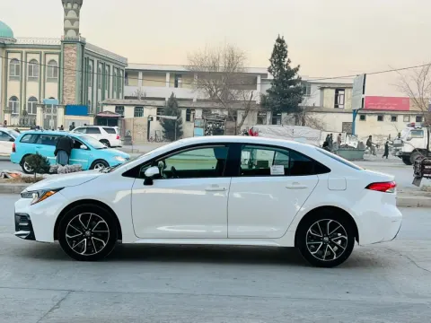 Corolla 2020