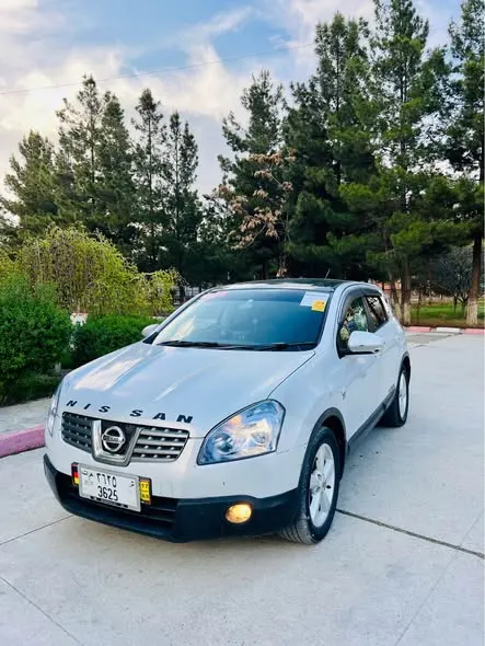 Nissan 2010