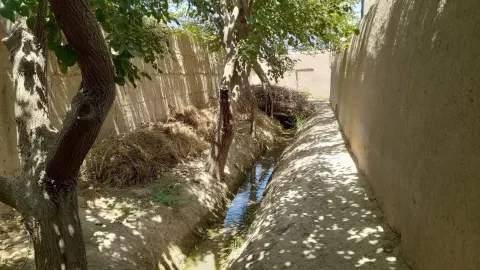 Vineyard garden for sale, 14.5 jerib, Nigari village, Mazar-i-Sharif