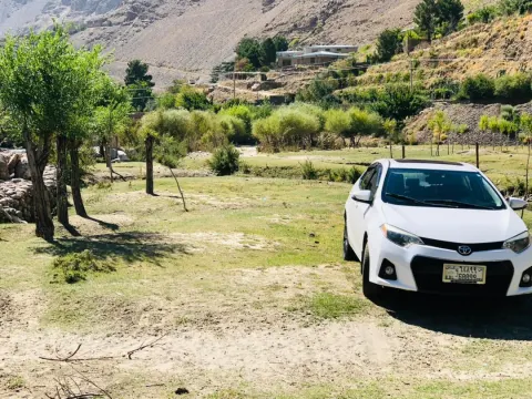 Corolla 2015