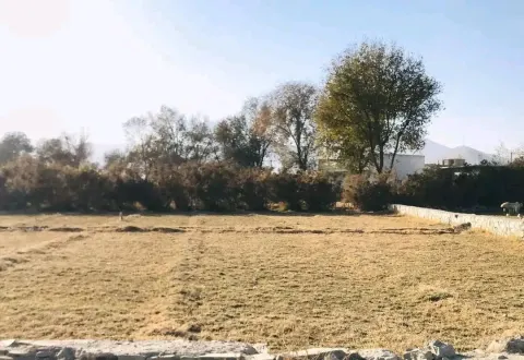 Land for sale, 8 biswa, Gul Bata, District 8, Kabul