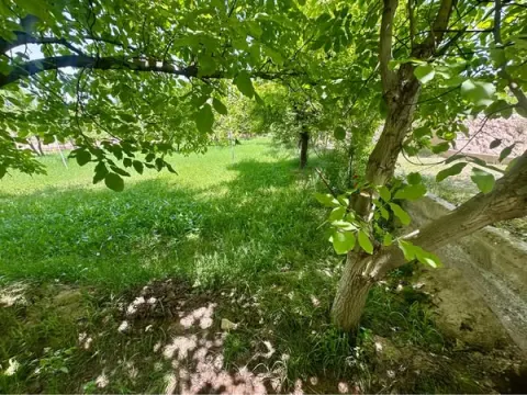 Fruit garden for sale, 2 jerib (4000 m²), Nawin Awlia