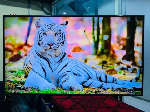 LG 75 inch 4K Smart TV and LG 65 inch OLED TV