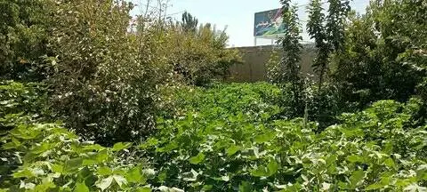 Garden land for sale, 757 m², Bagh-e Ustad Atta Mohammad Noor Road