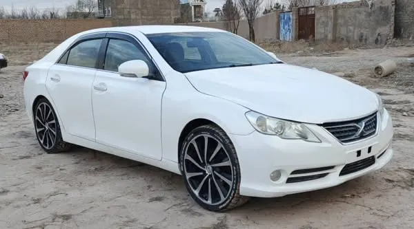 2011 Toyota Mark X