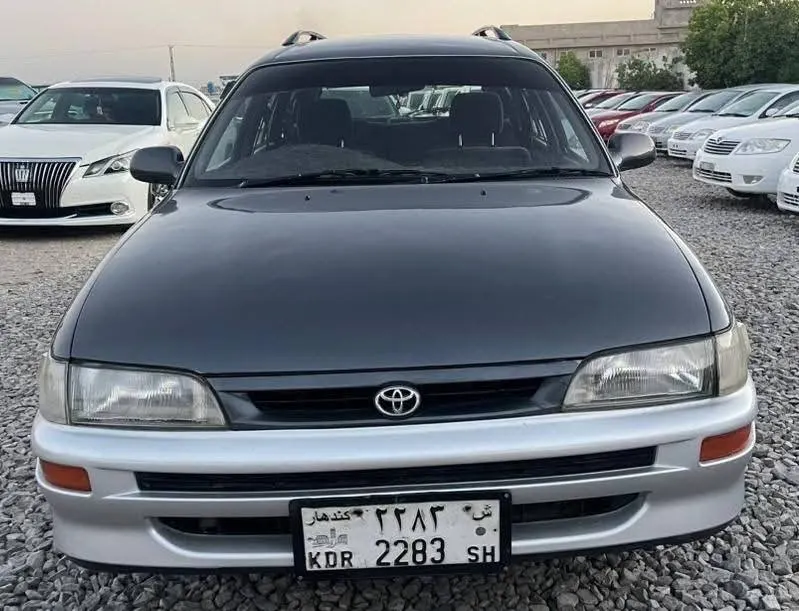 Fielder 2000