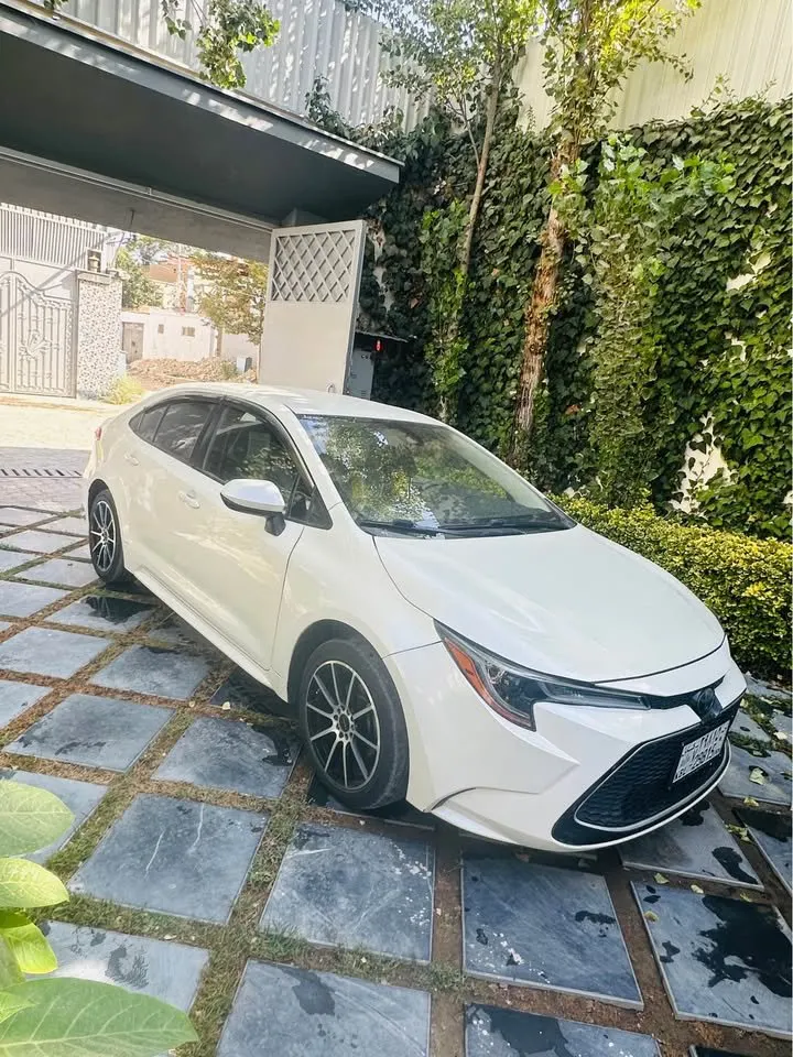 Toyota Corolla LE 2020