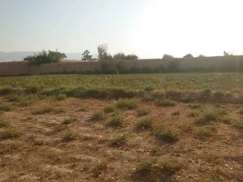 Land for sale, 1400 m², Khasa Paz village, Mazar-i-Sharif