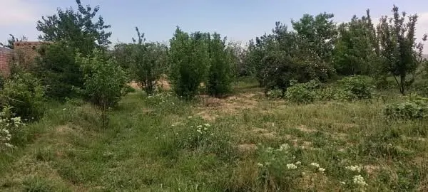 Farm land for sale, 1 jerib, Shakardara, Kabul
