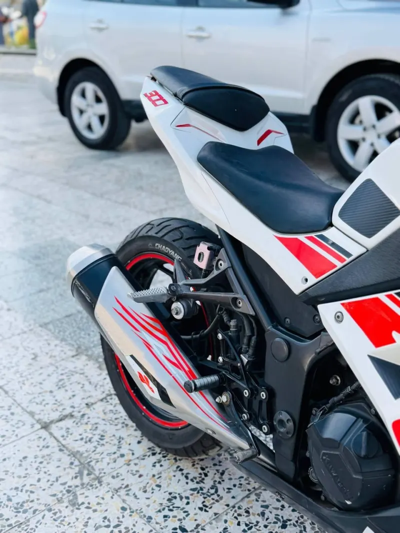 Kawasaki Ninja 300 2019