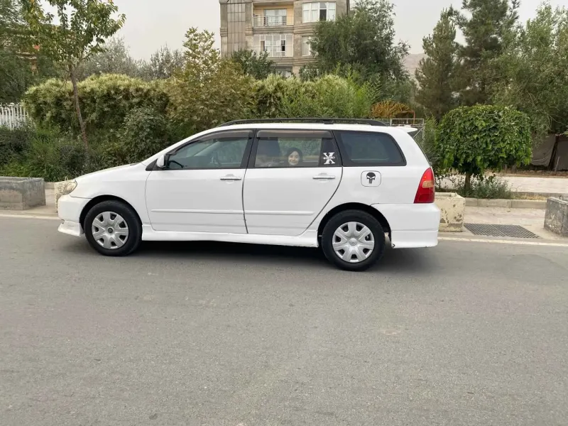 Toyota Fielder 2002
