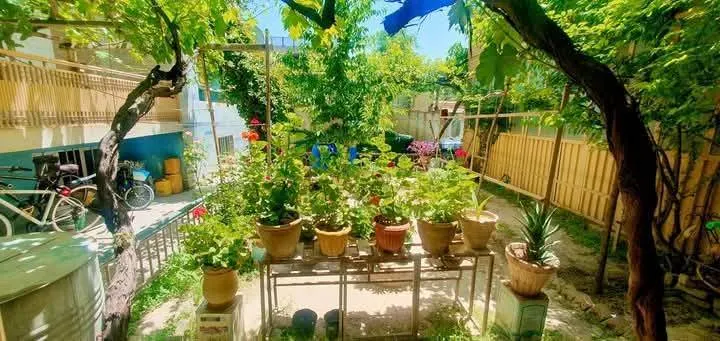House For Sale 12 rooms