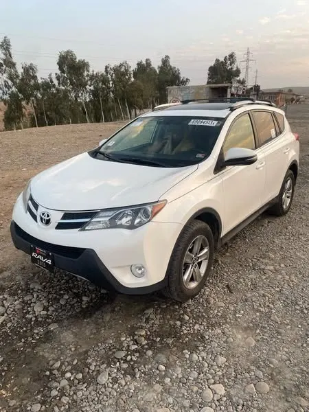 2015 RAV4 XLE