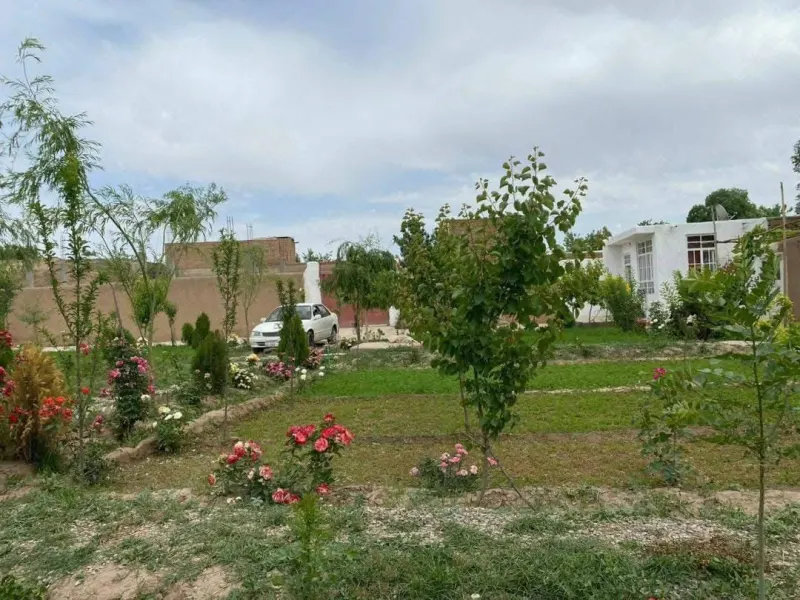 Garden plot for sale, 5 dang, Ghulwan, Herat