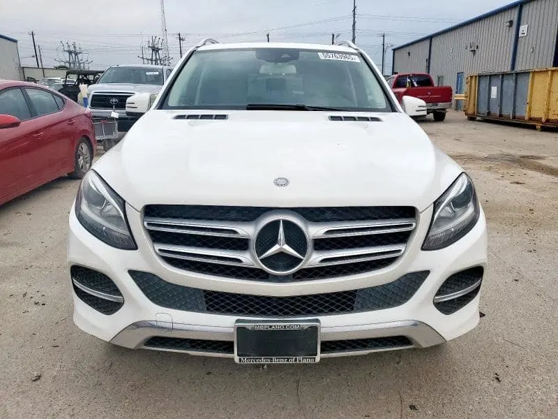 Mercedes 2017