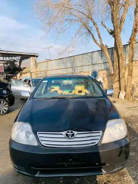 2003 Toyota Corolla Luxel