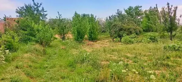 Garden for sale, 1 jerib (20 biswa), Shakardara, Kabul