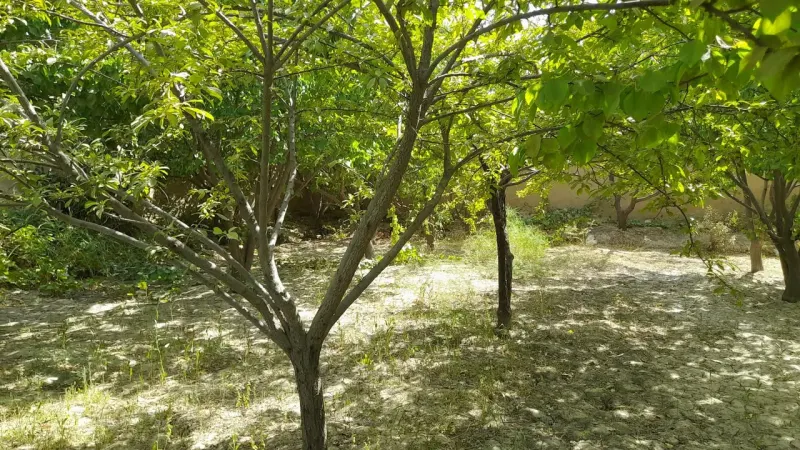 Land for sale, 300 m², Baba Yadgar, Mazar-i-Sharif