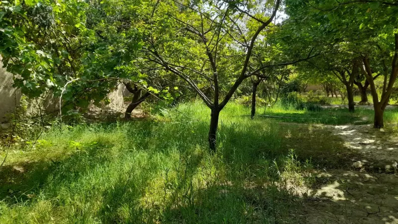 Land for sale, 300 m², Baba Yadgar, Mazar-i-Sharif