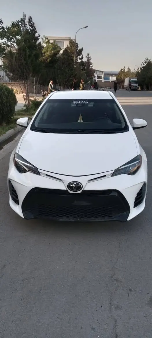 Toyota 2019
