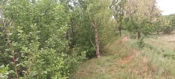 Farm land for sale, 1 jerib, Shakardara, Kabul