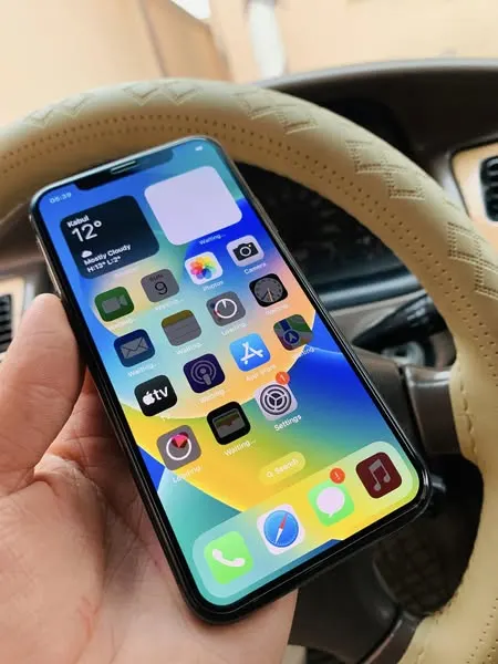 iPhone X