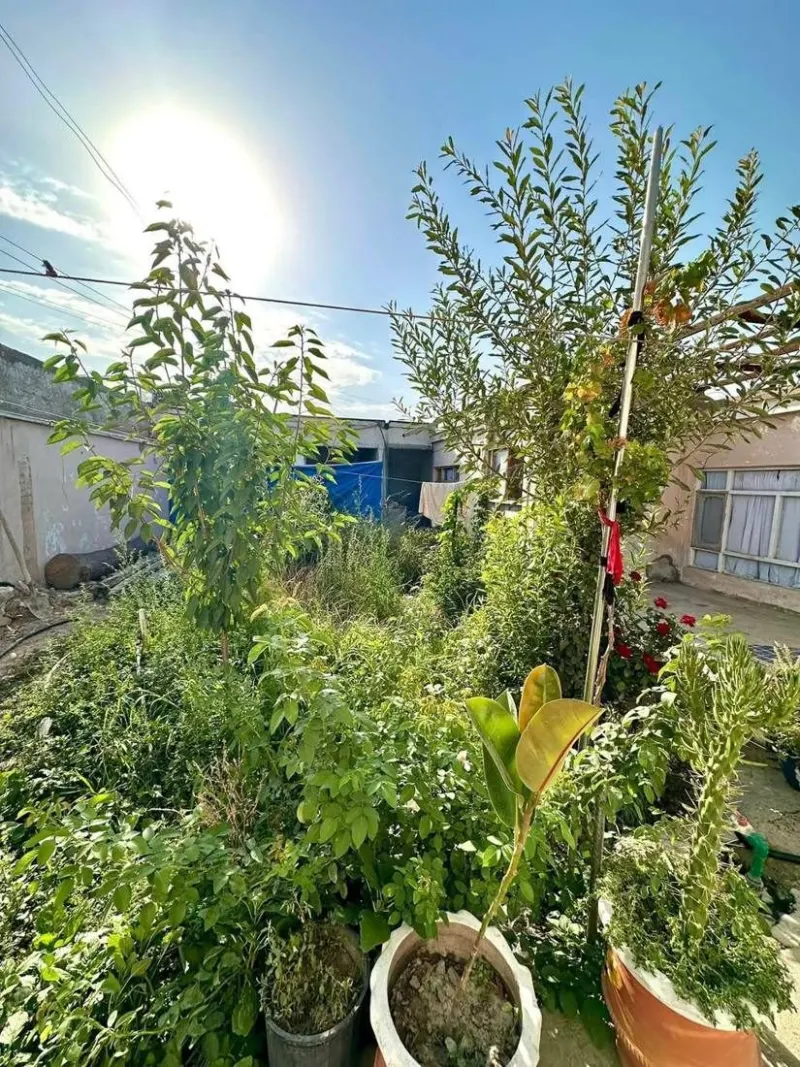 House in Chehelsotoon, Kabul