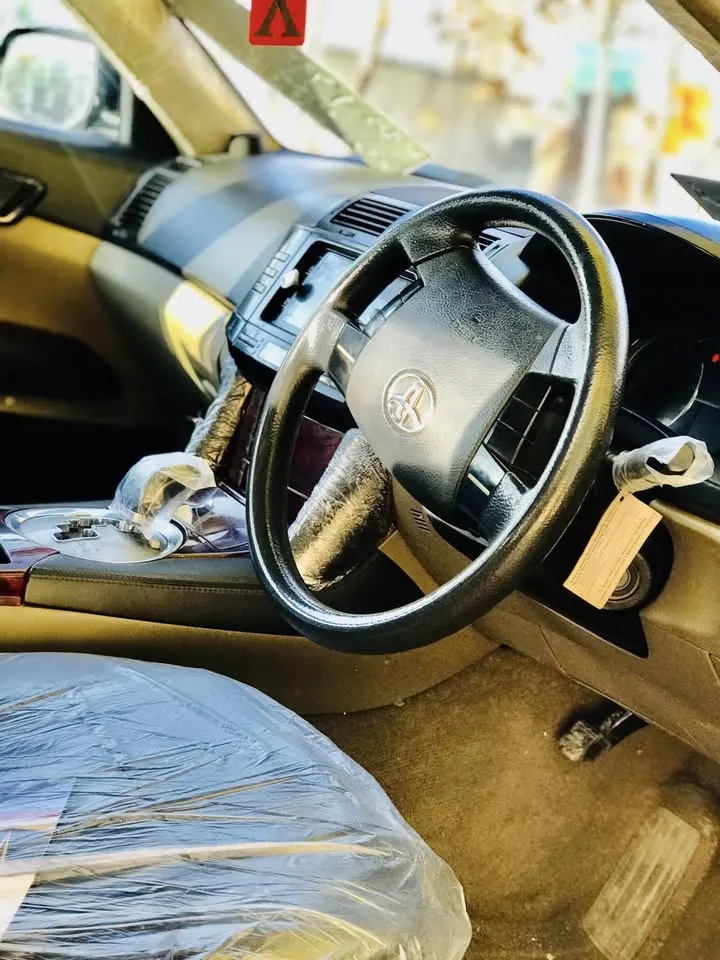2007 Toyota Mark X