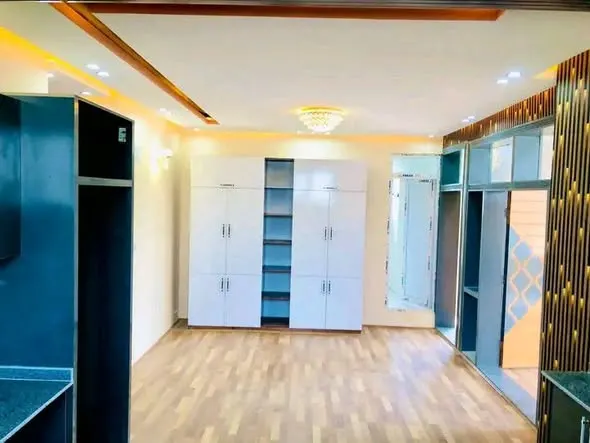 Apartment VIP