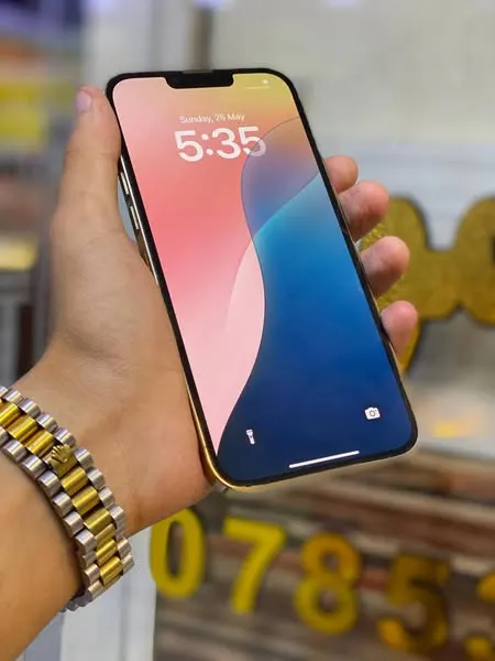 iPhone 13 Pro Max
