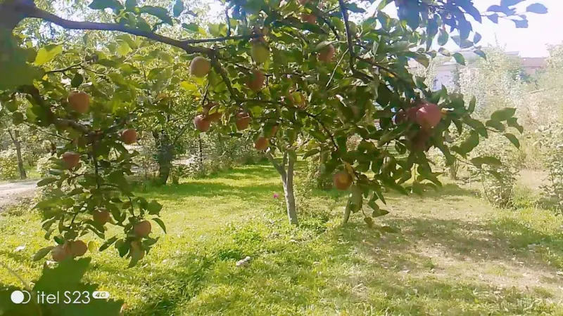 Garden for sale
